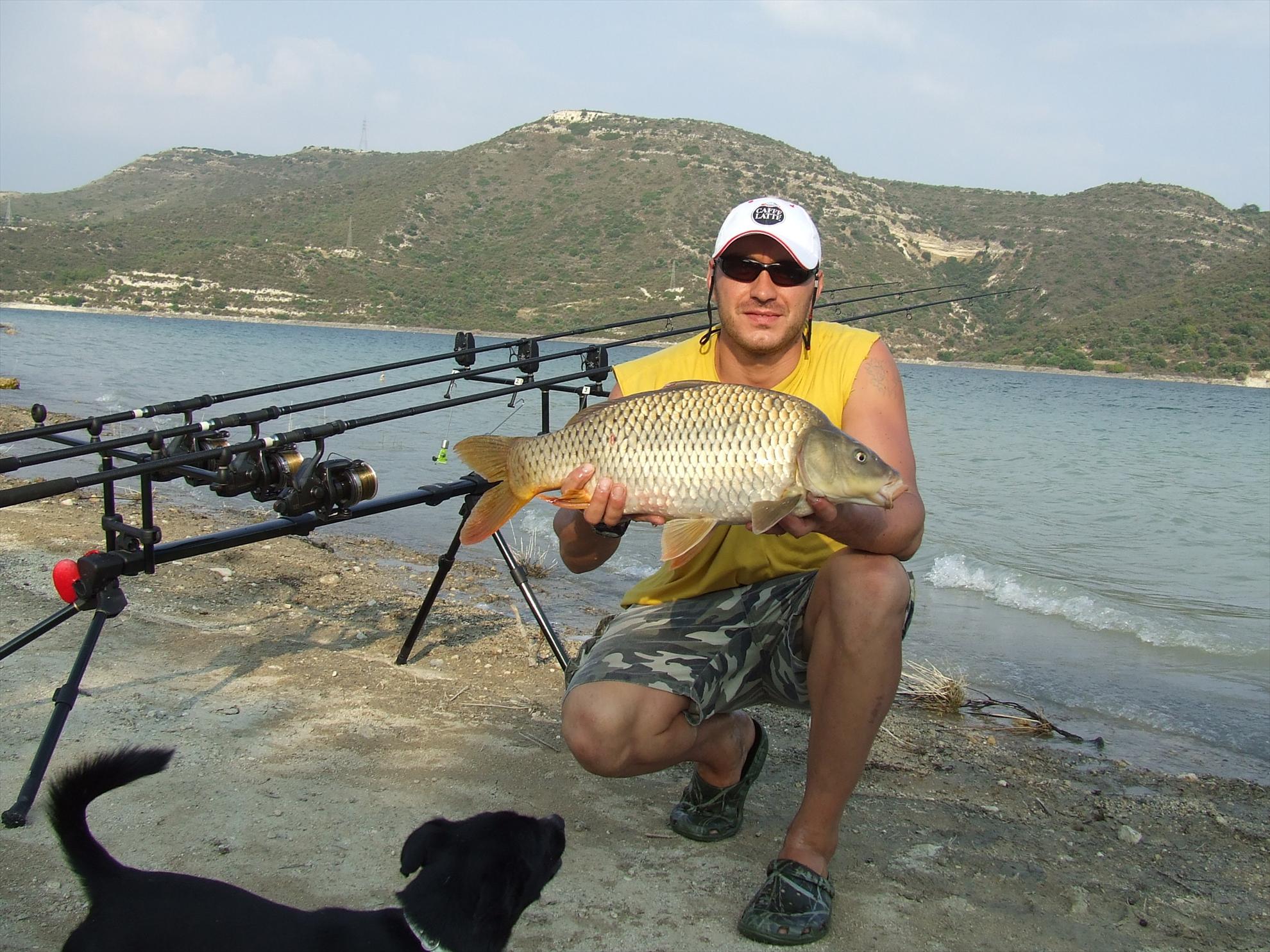 Crapi de Cipru - dscf2258.JPG